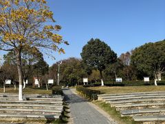 -汤山公园