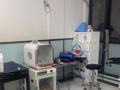 -嘉馨宠物医院·CT影像转诊·心脏科·犬猫全科诊疗中心(下沙大学城院区)