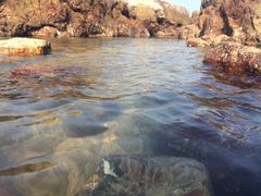 -西涌国际滨海旅游区