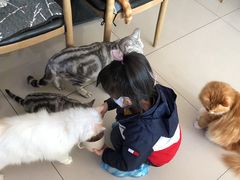 -平行世界·猫咖(首经贸店)
