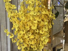 -全聚德(蓝山店)