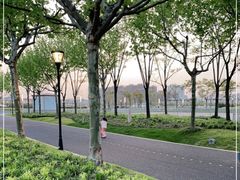-上海山野camping·户外天幕烧烤·团建拓展营地