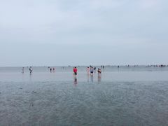 -南汇新城海滩