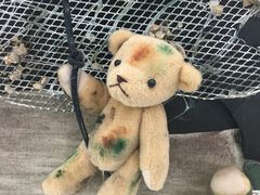 -济州岛泰迪熊博物馆