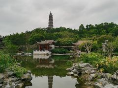-顺峰山公园