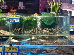 水产区-船歌·鱼水饺青岛菜(闽江二路店)