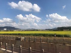 -光明小镇欢乐田园