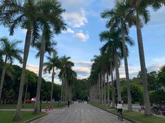 -厦门大学(思明校区)