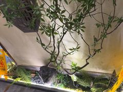 -雨后行菜(报慈北路店)