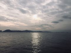 -演武大桥观景平台