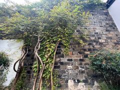 -南京市民俗博物馆(甘熙故居)