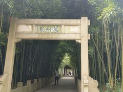 -采石矶景区