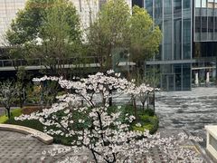 -杭州城中香格里拉大酒店