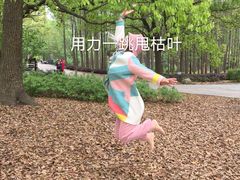 -共青国家森林公园-售票处