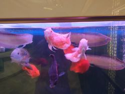-铂诗玥医美