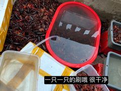 -小田油焖小龙虾(双井店)