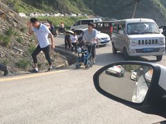 -梦幻奥陶纪景区