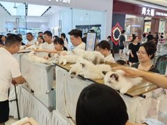 -万达广场(大明宫店)