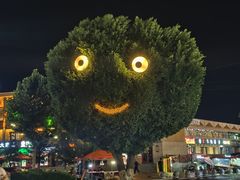 -特克斯八卦城