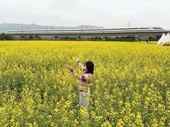 -光明小镇欢乐田园