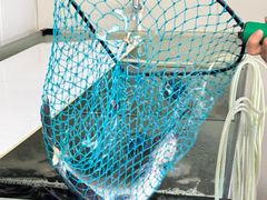 -老李重庆碳烤活鱼