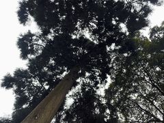 -青城山