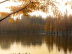 -白鹭湾湿地公园