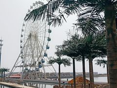 -秦皇岛乐岛海洋王国