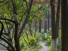 -重庆彩云湖湿地公园