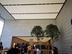 -Apple零售店(济南恒隆广场店)