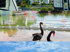 -动邦皮划艇·桨板·独木舟·团建户外运动俱乐部