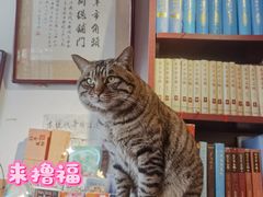 -正阳书局(西四南大街店)