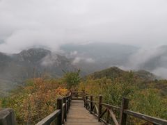 -大岭沟猕猴桃谷风景区