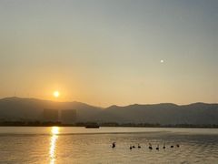 -长兴太湖图影湿地文化园