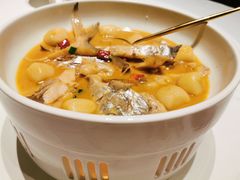 家烧东海鲳鱼-广舟(千禧店)