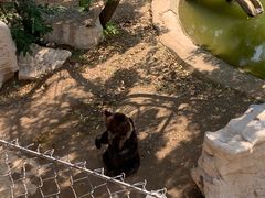 -石家庄市动物园