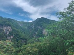 -牛背梁国家森林公园
