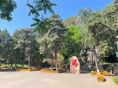 -北京鹫峰国家森林公园