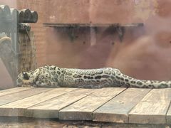 -青藏高原野生动物园