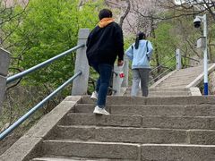 -崂山巨峰游览区