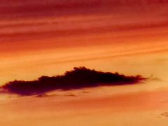 -咏春拳学总会·一拳咏春(双井店)