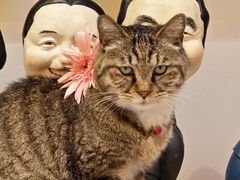 -创艺无限·赵春香微妙艺术馆