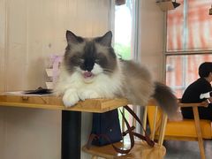 -灯塔咖啡馆BOOK·Coffee Shop