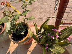 -StorHub 趣存自助仓·迷你仓(虹桥店)