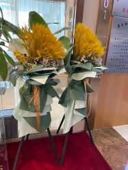 -丽美妍医疗美容·皮秒·立体分层抗衰