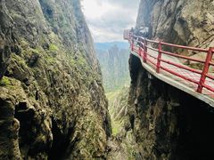 -老君山风景名胜区