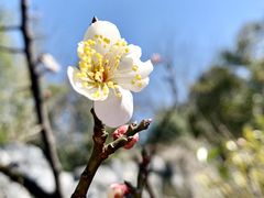 -上海吴淞炮台湾国家湿地公园