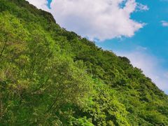 -秦岭风景区