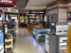 -米兰马尔彭萨国际机场