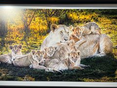 -罗红摄影艺术馆